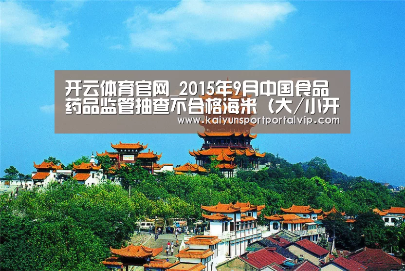 开云体育官方入口